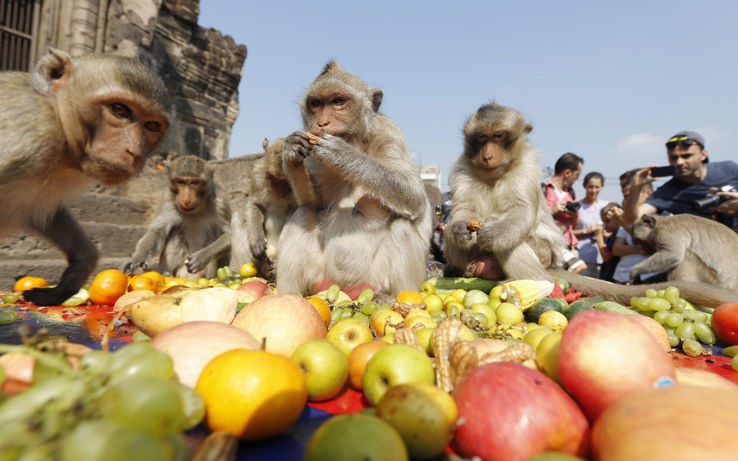 Weird traditions followed around the world