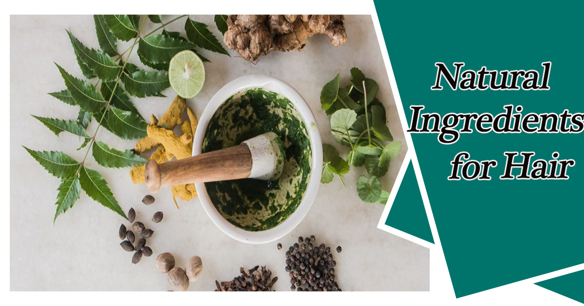 Beat natural ingredients for hair that are 100% effective.